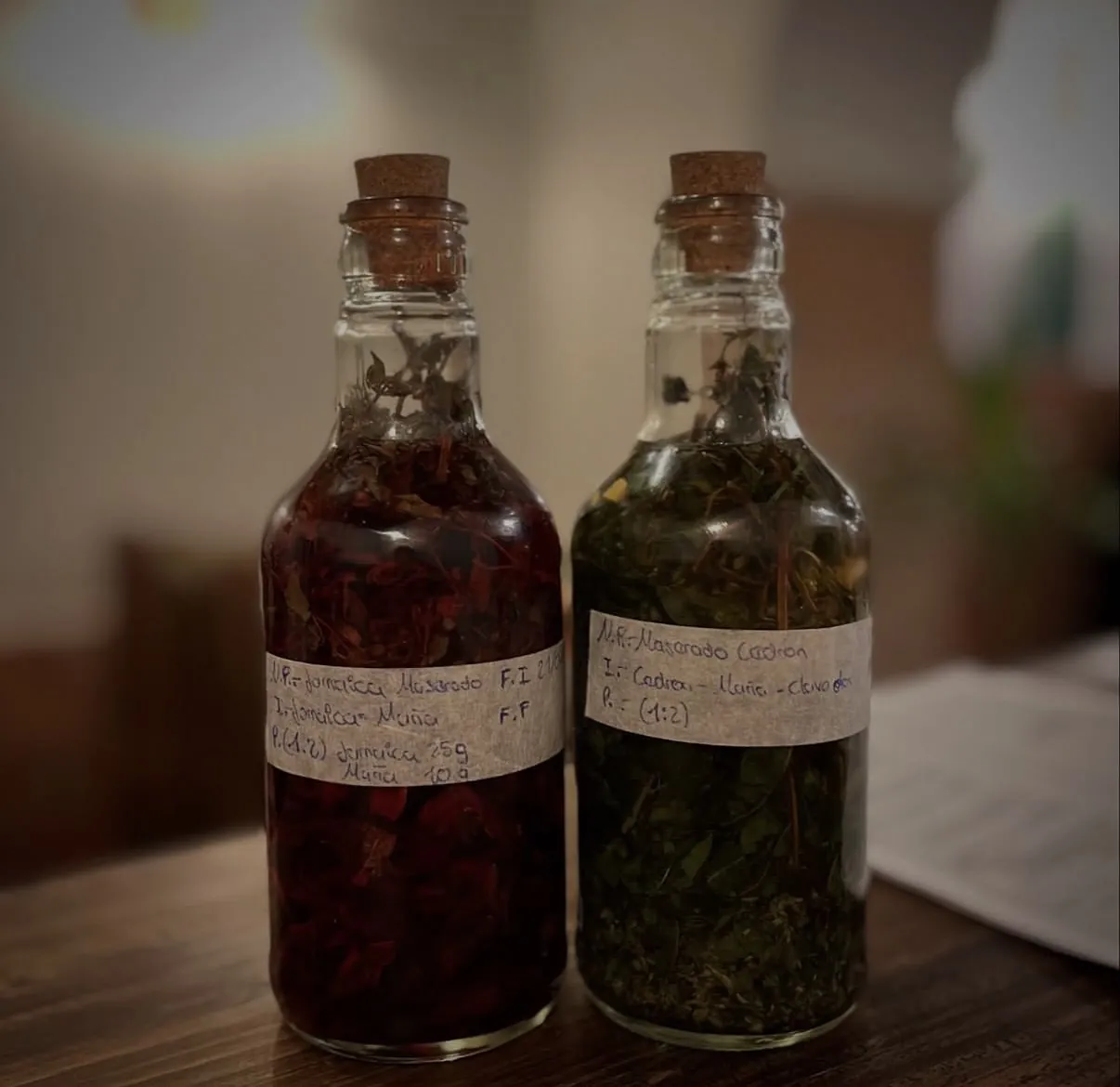 Dos botellas de macerados con hierbas y frutos